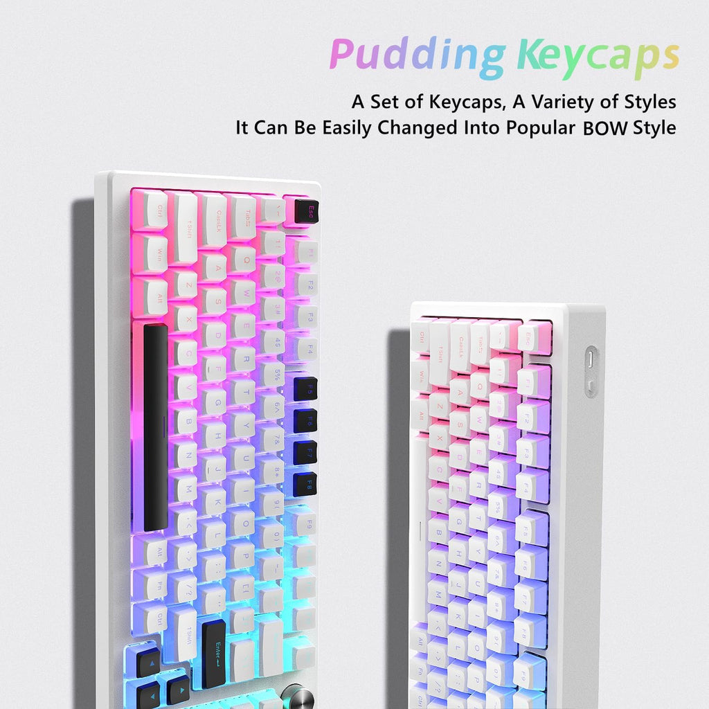 Womier Pudding Keycaps, PBT Shine through Keycaps White 164 Keys Set | Custom Key Caps Set OEM Profile, Mechanical Keyboard Keycap Universal Compatiability for 100%, 75%, 65%, 60% Keyboard-White